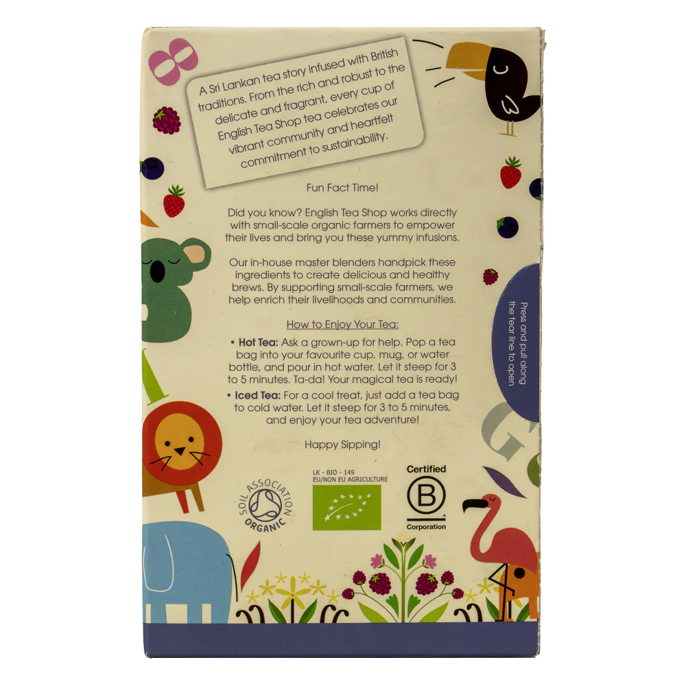 Kids Tea Time Adventure - 20 Tea Sachets  - NEW FOR 2025 - Image 7